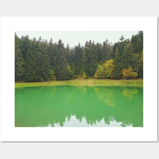 Forest Lake With Reflection In Water Posters and Art